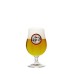  Hop24 Tripel Bier Vat Fust 20 Liter | Levering Heel Nederland!